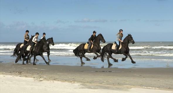 Amelander Kaap 126 Hollum (Ameland) Exterior foto